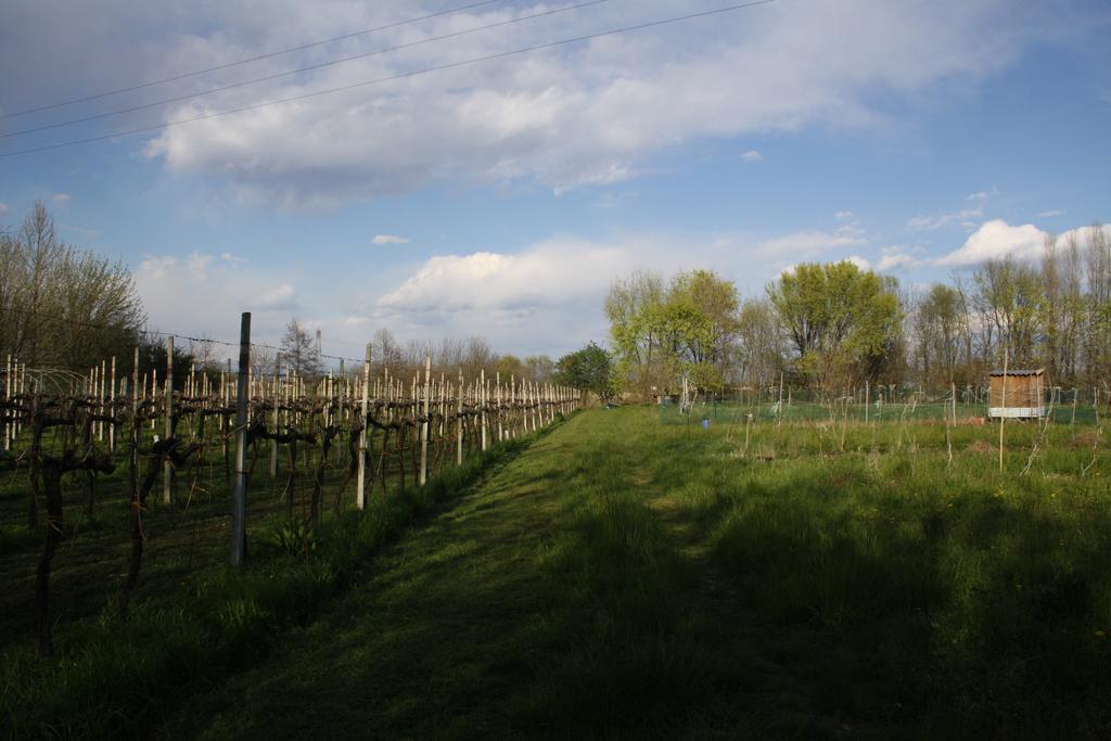 I Guardiani Bed & Breakfast Carlino Bagian luar foto